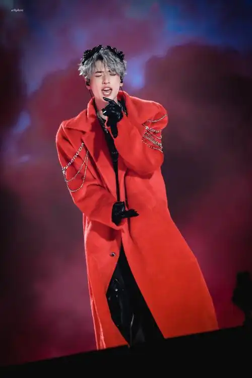 严浩翔演唱会造型