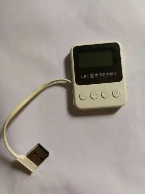 中国农业银行个人网银(pdf电子文档如何使用个人网银u盾进行数字证书