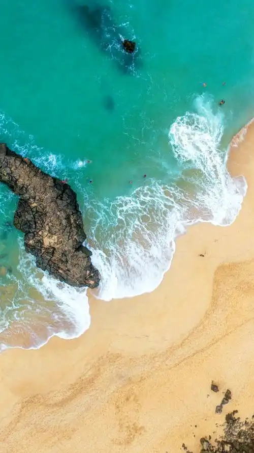 发一些壁纸,不要尖叫,一定要点赞 - 华为mate10系列主题美化 花粉