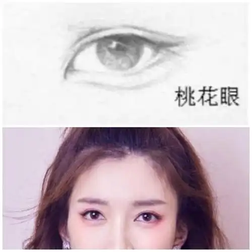 配合她本身的眼型,化出了桃花眼的既视感  桃花眼 : 桃花眼的眼睛比较