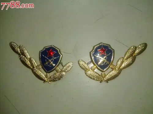 80年代武*蓝领花-价格:35元-se27822109-老肩章/领章/领花-零售-7788