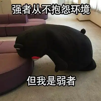 表情包##熊本熊