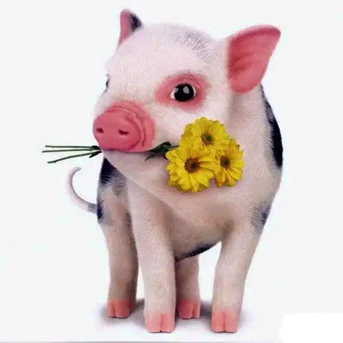 吟十二生肖(个人专辑) ‖【爱上诗】三群宣传部长八狼诗词_襄阳头条