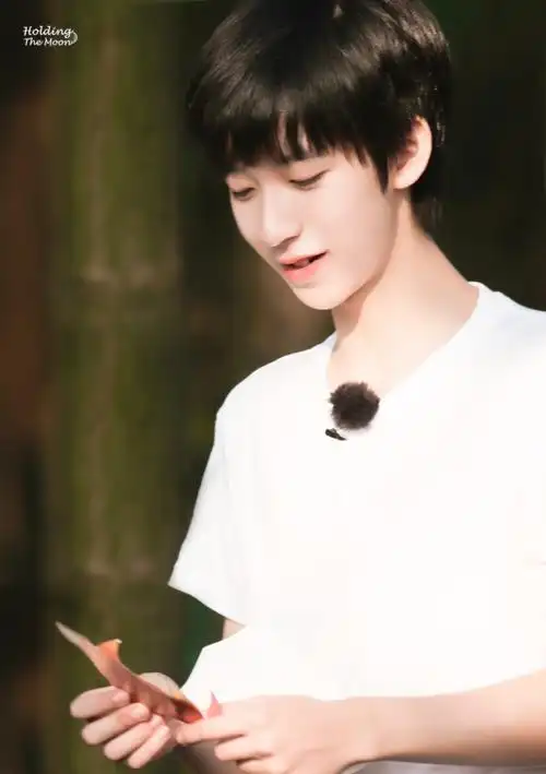 贺峻霖 少年梦游记