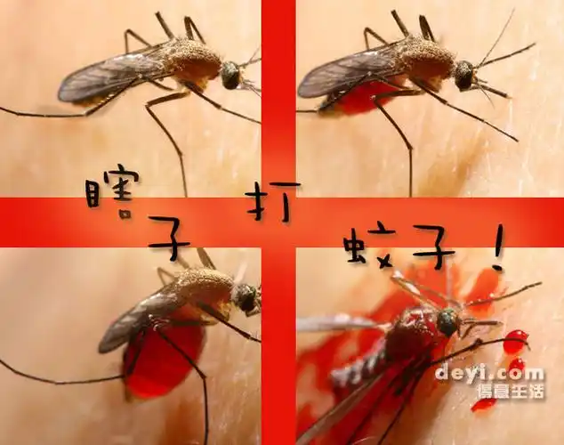 睡不着, 打死2只蚊子.