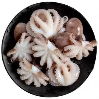 海鲜迷你八爪鱼短腿八爪鱼火锅食材小章鱼鲜活速冻八爪鱼章鱼去牙去脏