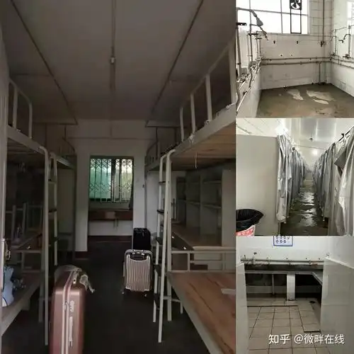 护理考研成都中医药大学最全攻略篇