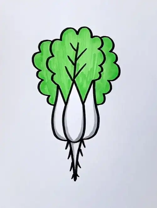 用字母w画一棵大白菜,画画教程,简笔画,儿童简笔画-度小视