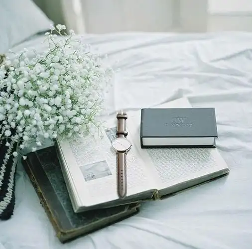 静物唯美意境图片