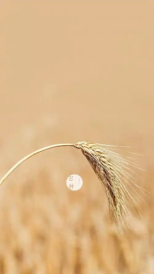 芒种图片大全芒种朋友圈图片2021