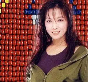 天使齐豫:angels, roses & rain