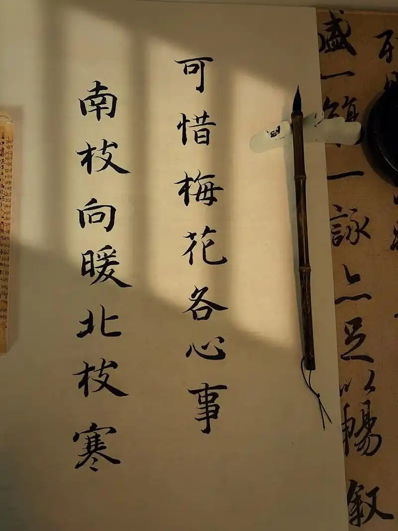 "可惜梅花各心事  南枝向暖北枝寒"#手写体 #诗词 #书法 - 抖音