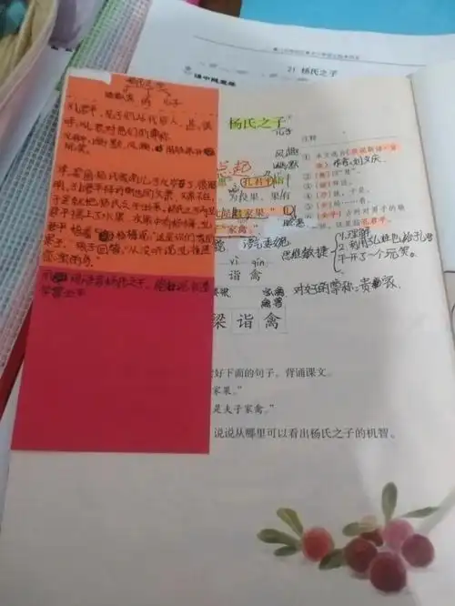 五下杨氏之子课堂笔记