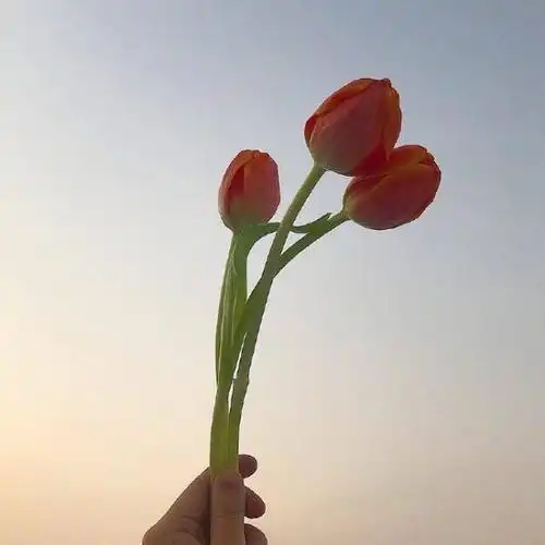 致自己的生日感言,句句精美入心,发朋友圈永不过时!