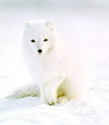 2,【一】我叫欧阳小六 .