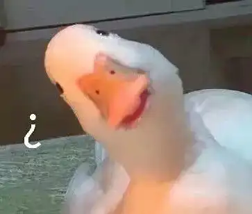 八组鹅是什么梗