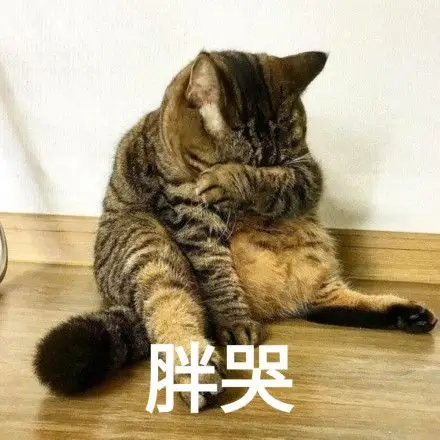 因为太胖而掩面哭泣的你