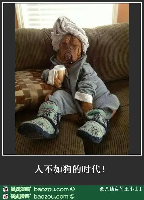 人不如狗的时代