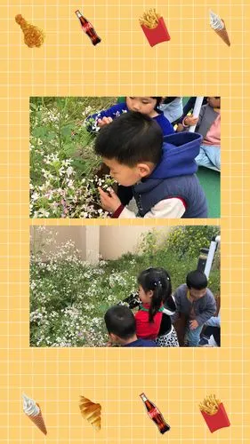 写美篇春天在哪里呀,春天在哪里? 春天在我最爱的幼儿园!