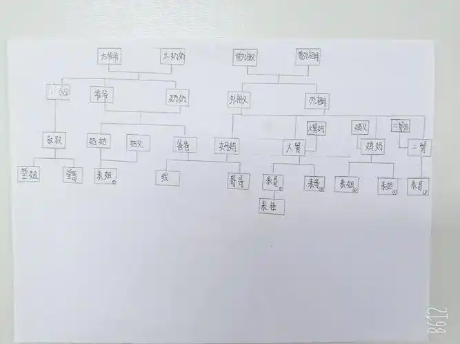 了解家族史,绘制家谱图.