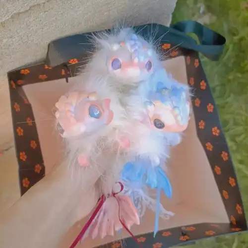 送你一朵小龙花