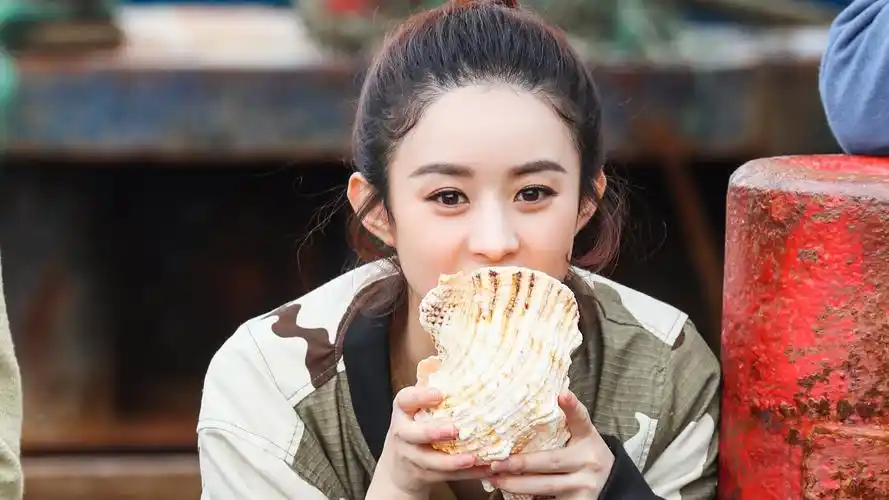 赵丽颖 明星 女星 明星风尚壁纸【2】