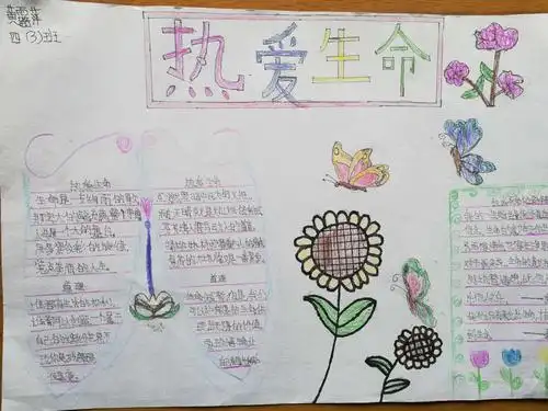 一张张像富有生命的手抄报,是孩子们对生命的诠释.