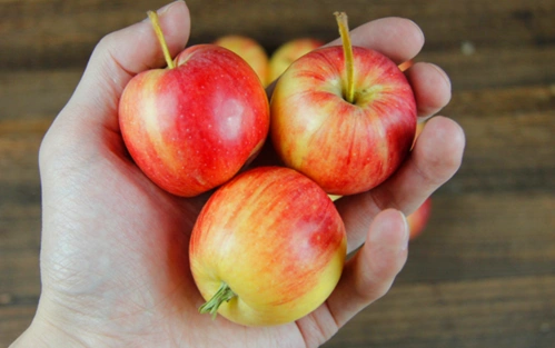 小苹果是什么意思(小苹果寓意着什么意思)