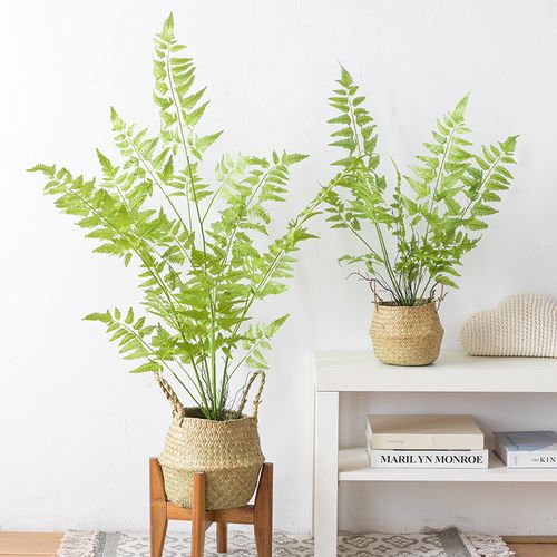 绿植蕨类假植物_阿楹 高仿真蕨类植物盆栽室内玄关桌面北欧ins假绿植