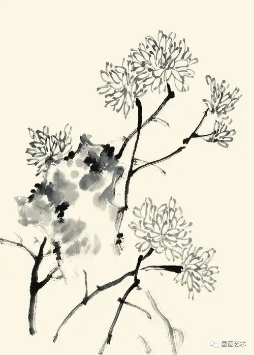 图文教程写意菊花范画步骤