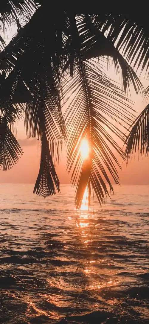 「新年文案 壁纸」换个壁纸,换种心情,一起迎接2021