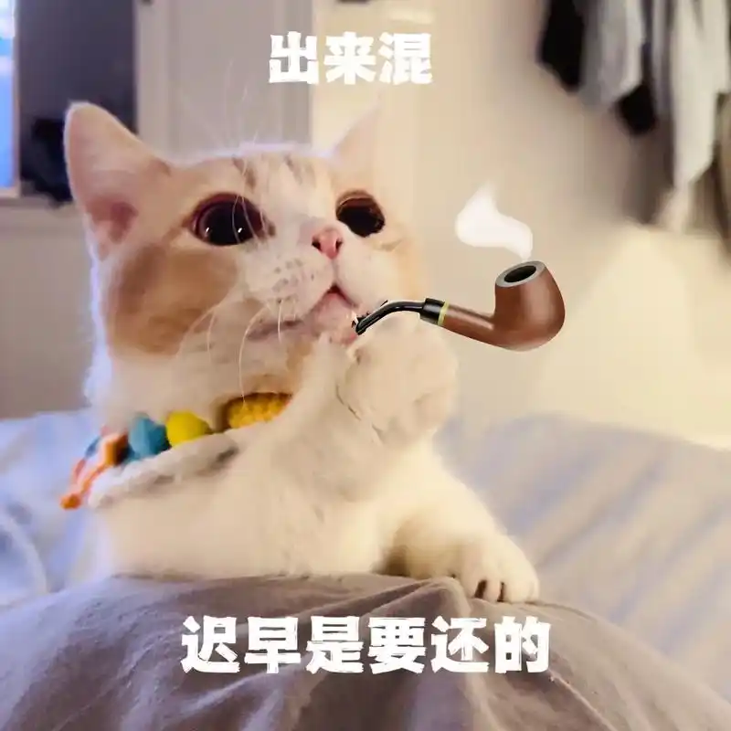 《社会团2.0版本》猫猫那么可爱 当然要做成表情包啦#笨蛋小 - 抖音