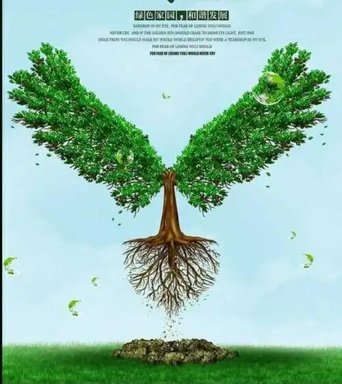 贡献力量,奉献绿色!全民运动,回忆青春!