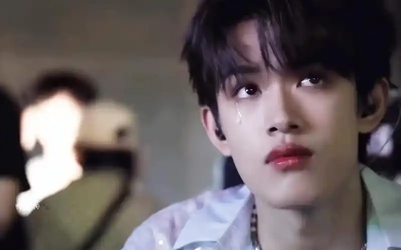 【张极】浓颜野玫瑰