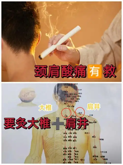 吹爆介266个穴位60肩颈僵硬酸痛不再怕