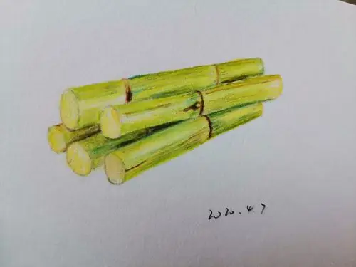 其它 走进彩铅世界 写美篇吃完甘蔗,来块红烧肉吧.