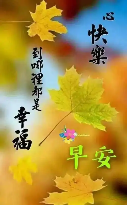 最新清晨漂亮早安祝福唯美图片 温暖早上好问候关心祝福语
