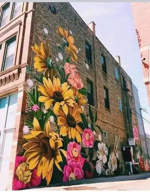 街头艺术(street art)|涂鸦|大公鸡_网易订阅