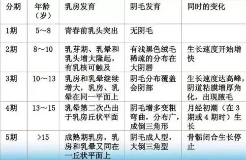 乳房发育一定是性早熟吗_性早熟_性早熟症状表现 - 好大夫在线