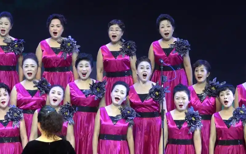 花生视频 女声合唱《绒花》演出团队/星海女声合唱团 指挥/许 平 伴奏