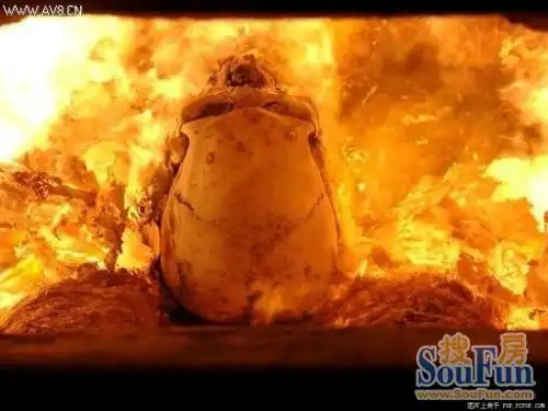 火葬场火化遗体真实过程 - 好大夫在线