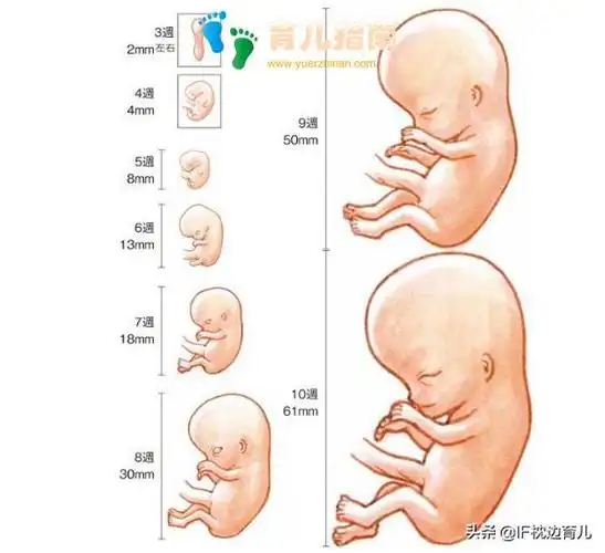 孕妈过去这道坎儿,以后会顺畅许多