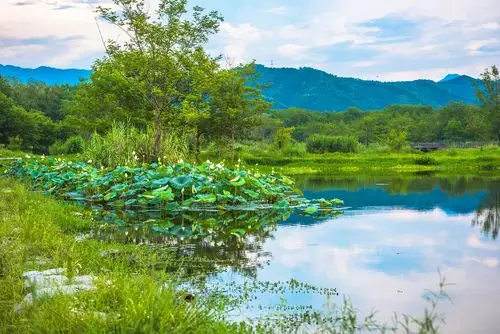 湖边空气清纯的如同香精佳酿,吸一口进入肺腑,感觉神