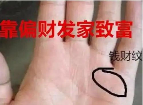 小拇指和无名指下方主持偏财运势的"水星丘"部位,若是有多条非常密集