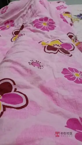 速度,收留一个老哥,天气好冷,一起抱着取暖,一起睡