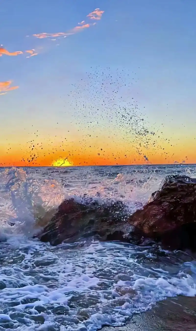海边日落手机壁纸#落日余晖映晚霞一抹夕阳美如画 #这个风景足 - 抖音