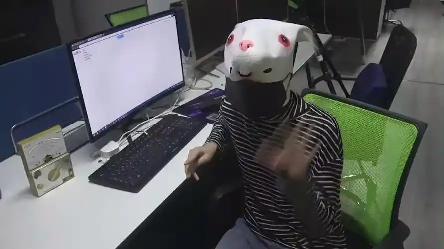 兔小妹探险鸡皮疙瘩灵异游戏可召前世阴灵你看到水中几个鬼影