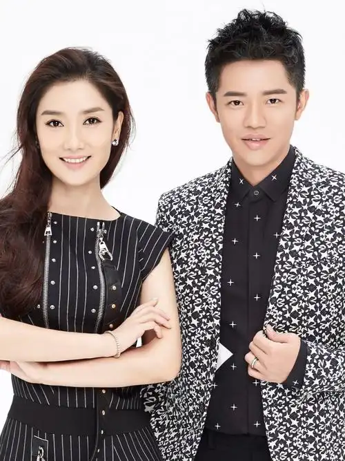 凤凰传奇组合,一个身家过亿,一个债台高筑_娱乐圈_凤凰传奇_娱乐_明星