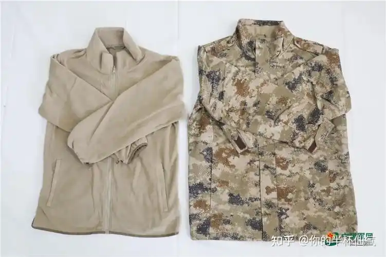 新型19型被装揭秘