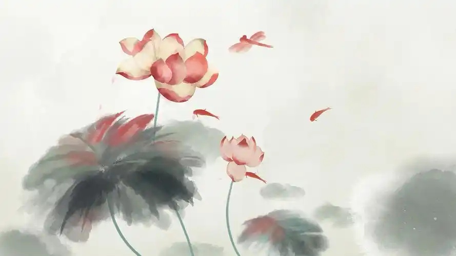 4k简洁水墨荷花mp4背景视频